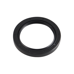 Ampco Circumferential Pump Spare - Oil Seal Gear Case Rear Model 45 60 64 130 134 ZP1 ZP2 U1 U2