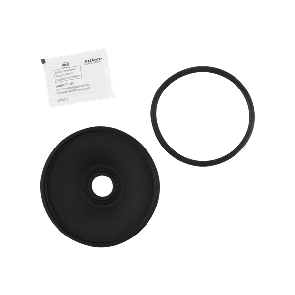 SERVICE KIT 3" EPDM UNIQUE SSV SHUTOFF ASEPTIC VALVE