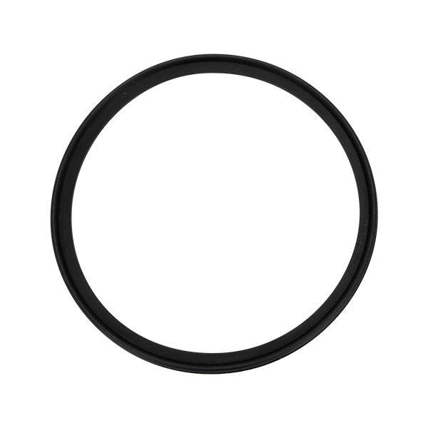 BODY GASKET VITON 761
