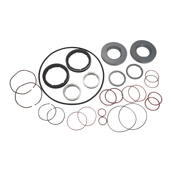SEAL KIT ZP3 MODEL 45 60 130 DOUBLE FLUSH MECHANICAL VITON TC/SC SC/C