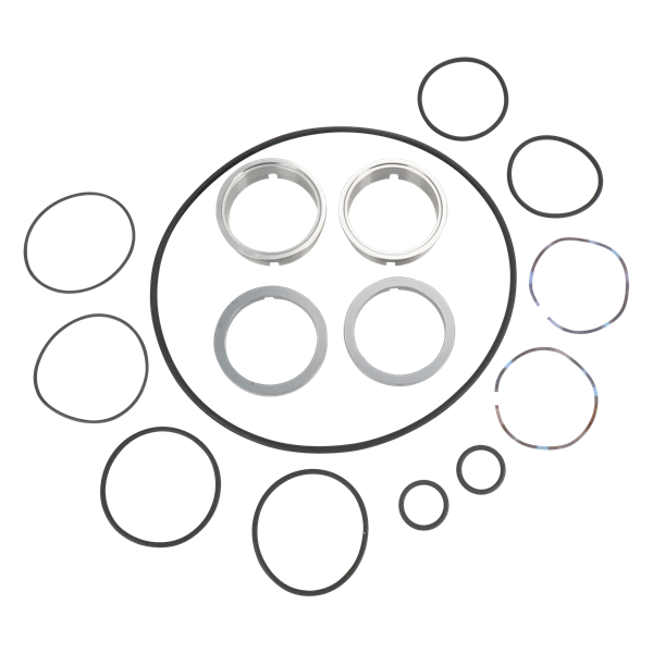 SEAL KIT SC/TC VITON SINGLE ZP3 MODEL 30