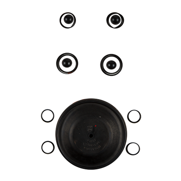 REPAIR KIT WET 1" ADVANCED PLASTIC VITON