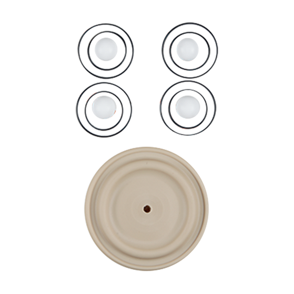 REPAIR KIT WET 1" ADVANCED PLASTIC PTFE W/ NEOPRENE