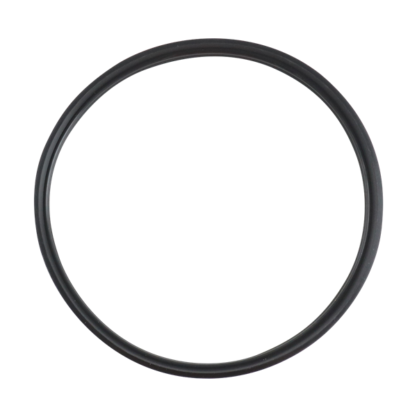 CASING GASKET VITON SAME AS 9634049389 328 S328-90A-SFY
