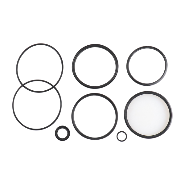 SERVICE KIT 2.5" 3" EPDM PLUG SETUP 20 CP-3 VALVE