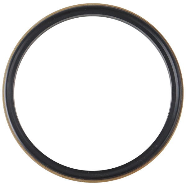 BODY GASKET 4" BUNA WITH 316L METAL RING FOR AIR VALVE