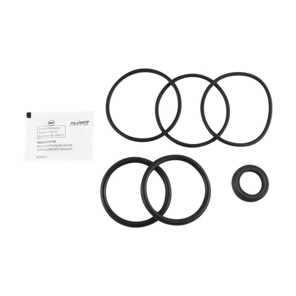 SERVICE KIT 2" EPDM UNIQUE SSV DIVERT VALVE