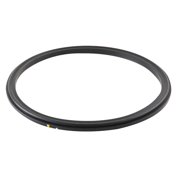 BODY GASKET 4" VITON FOR AIR VALVE