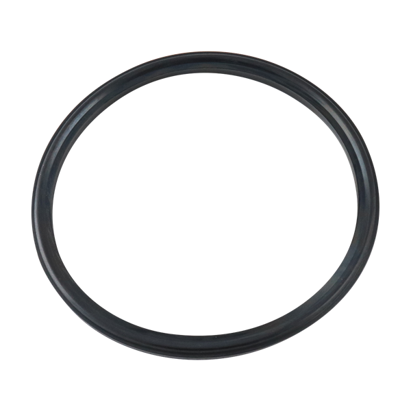 BODY GASKET 4" BUNA FOR AIR VALVE