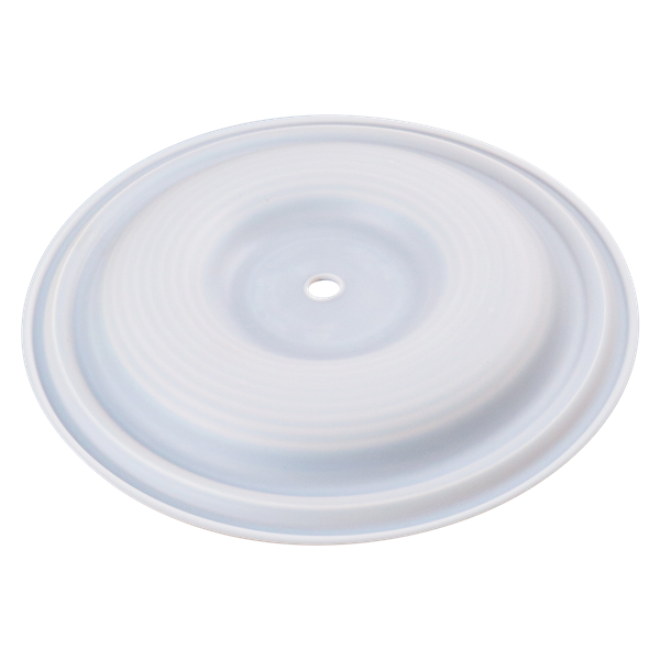 PRIMARY DIAPHRAGM PTFE