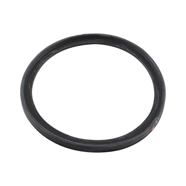 BODY GASKET 1.5" 2" BUNA 761