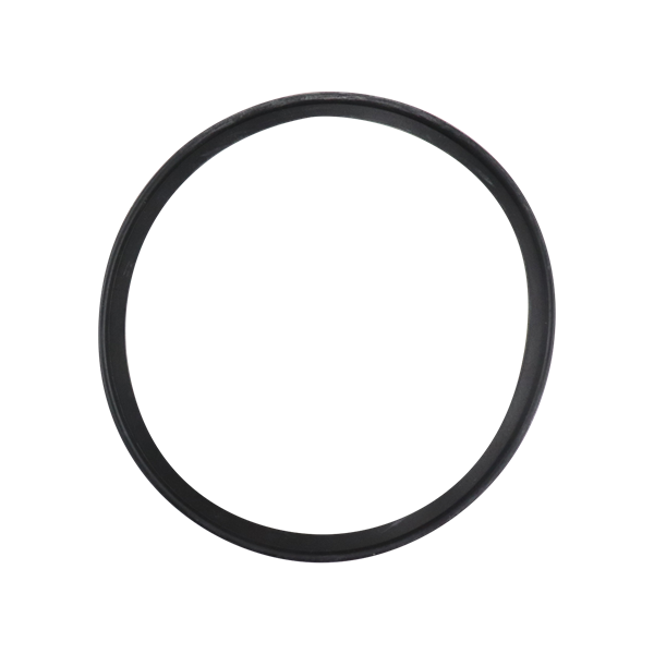 BODY GASKET EPDM 761