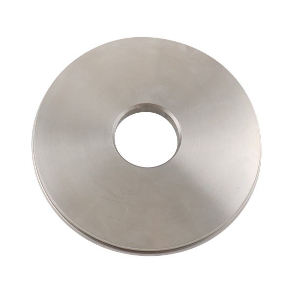 BACKPLATE DG SEAL 218 328 SP328G-11-316