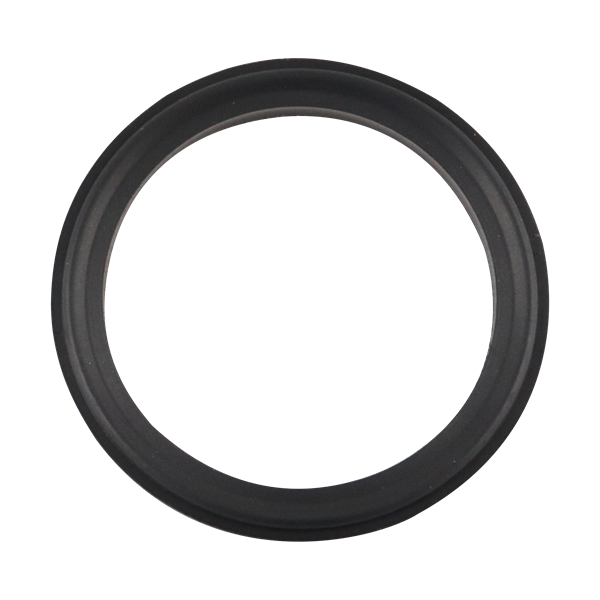 BODY GASKET 2" VITON FOR AIR VALVE
