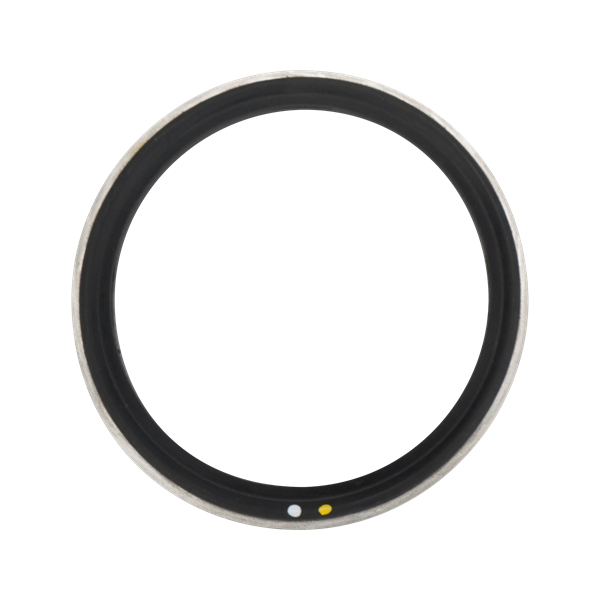 BODY GASKET 3" VITON WITH 316L METAL RING FOR AIR VALVE