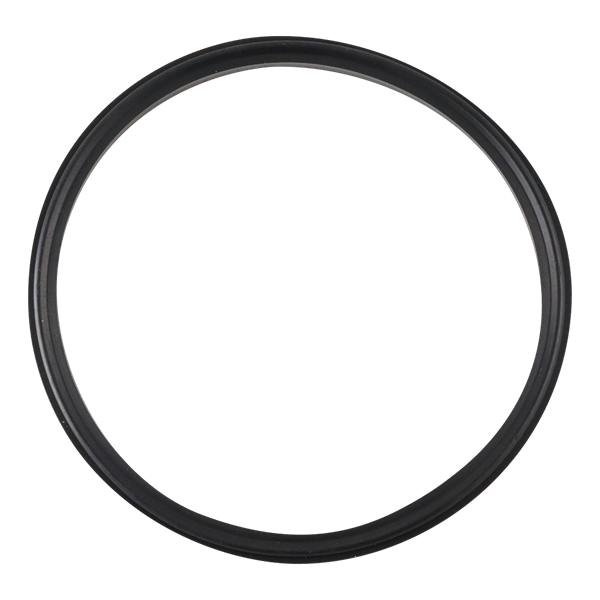 BODY GASKET 4" VITON FOR AIR VALVE