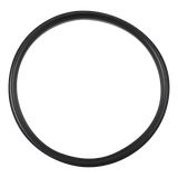 BODY GASKET 4" VITON FOR AIR VALVE