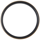BODY GASKET 4" BUNA WITH 316L METAL RING FOR AIR VALVE