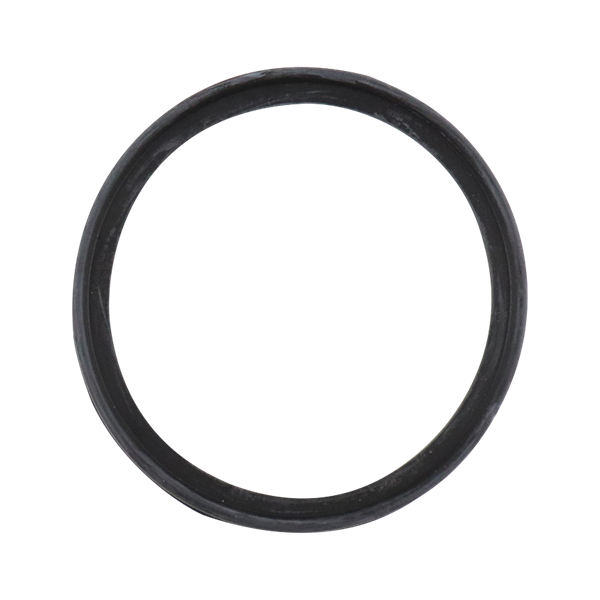 BODY GASKET 1.5" 2" BUNA 761