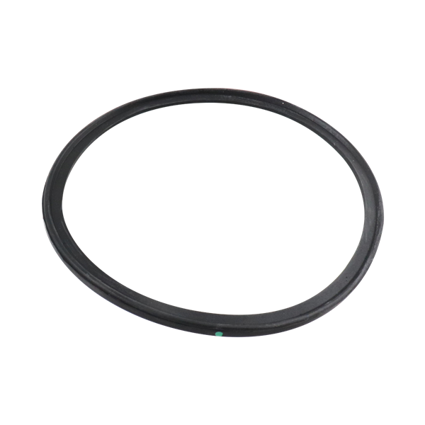 BODY GASKET EPDM 761