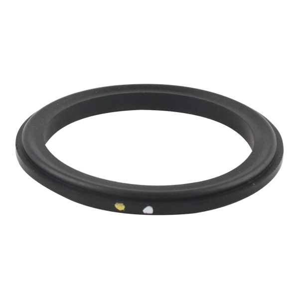 BODY GASKET 2" VITON FOR AIR VALVE
