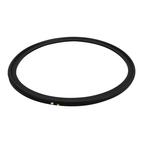 BODY GASKET VITON 761
