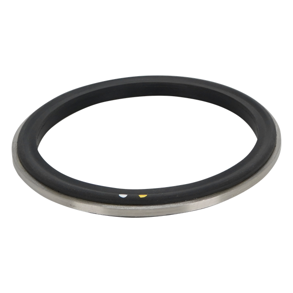 BODY GASKET 3" VITON WITH 316L METAL RING FOR AIR VALVE