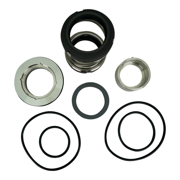 SHAFT SEAL DOUBLE MECHANICAL C/SC EPDM LKH 70 SEAL KIT