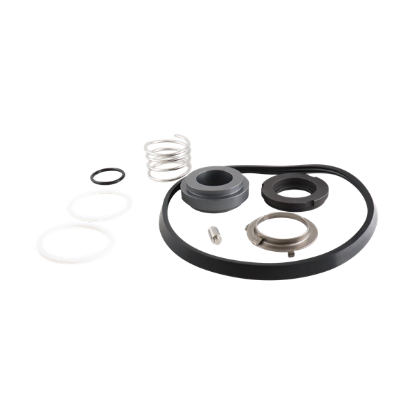 SEAL KIT BUNA DG C216 C216DG-1-U
