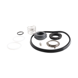 SEAL KIT BUNA DG C216 C216DG-1-U