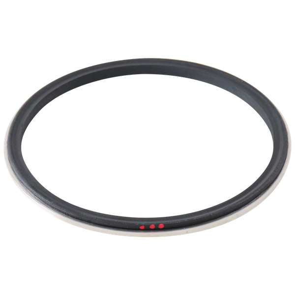 BODY GASKET 4" BUNA WITH 316L METAL RING FOR AIR VALVE